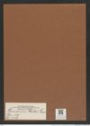 Hemiaulus wittii Grun. (de-Toni-Nr.: Genus 117, Species 3349) Zeichnungen Sammlung Grunow Mappe 03559 (Herbarium_W_Grunow_drawings_Folder_03559)